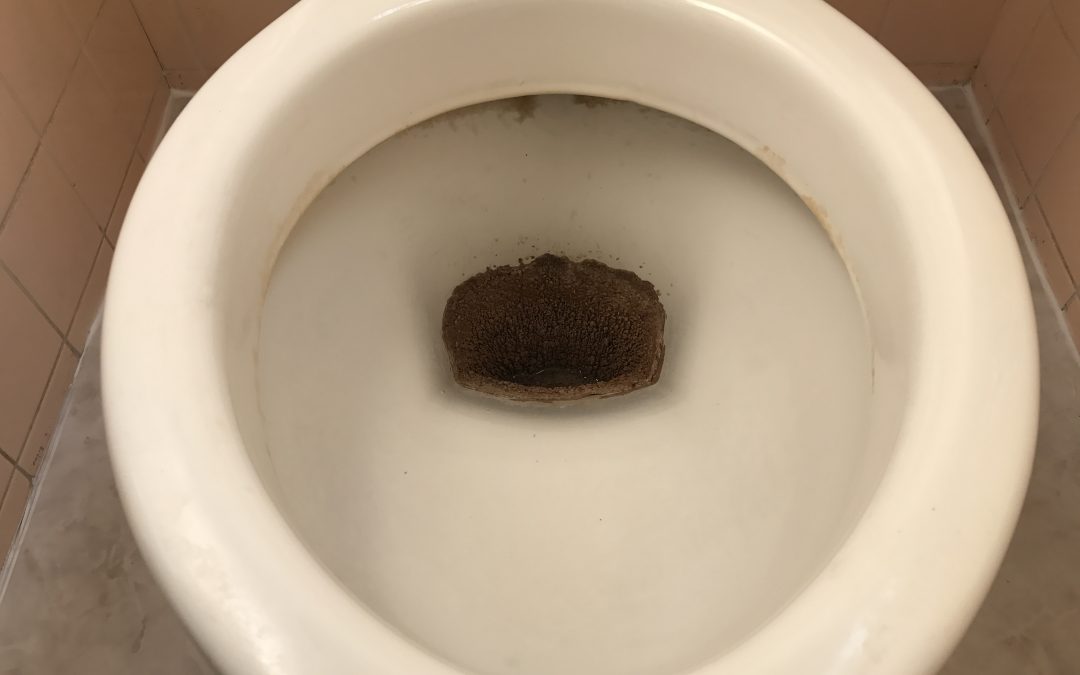 トイレ便器（尿石除去）再生　No.181023