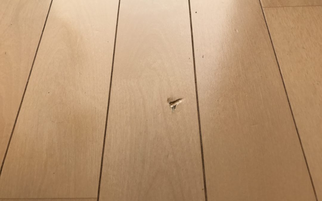 フローリング床キズリペア補修　No.BA190206
