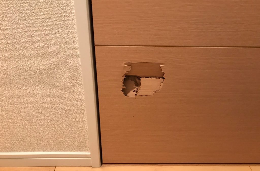 木製建具(室内ドア)へこみ陥没キズ リペア補修 BA221219