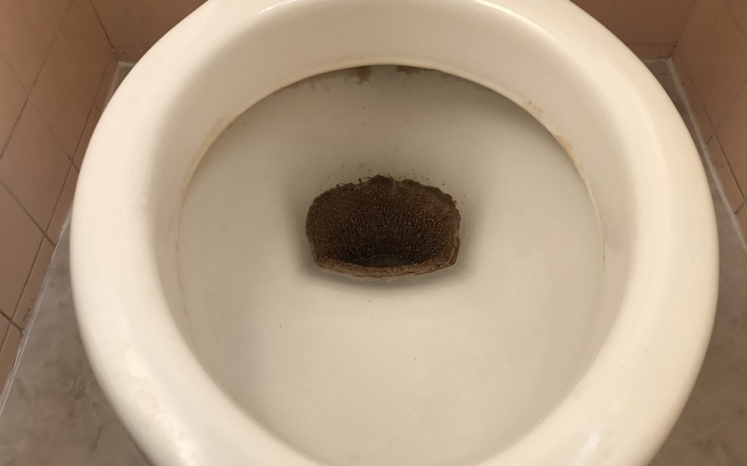 トイレ便器尿石除去クリーニング再生　No.BA181012