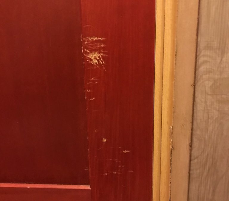 木製建具（室内ドア）引きキズ・すりキズ　リペア補修　BA220521