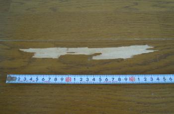 フローリング剥がれ No.110513