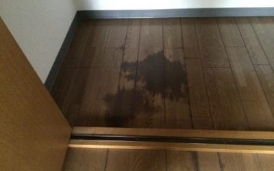 フローリングシミ　No.150318