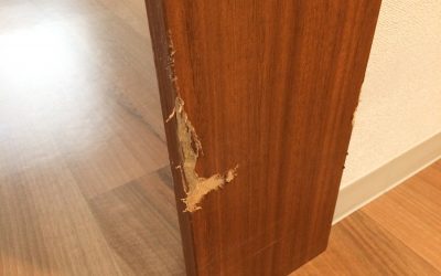 室内木枠はがれキズ　 No.170308