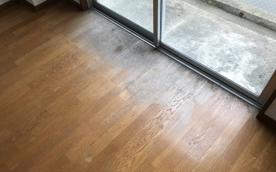 フローリング日焼け・劣化 No.170620