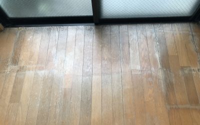 フローリング日焼け・劣化 No.170622