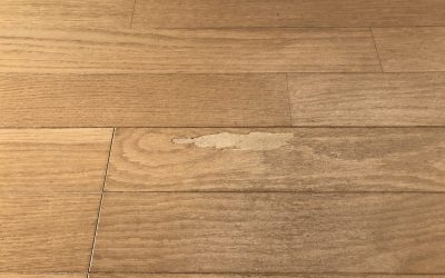 フローリング表面剥がれ No.171223