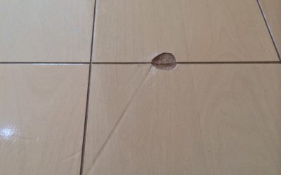 フローリングキズ No.150713