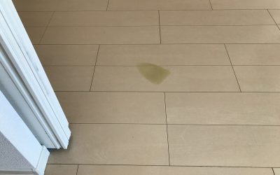 フローリング アイロン焼け No.180217