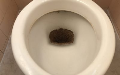 トイレ便器（尿石除去）再生　No.181023