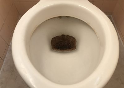 トイレ便器尿石除去クリーニング再生　No.BA181012