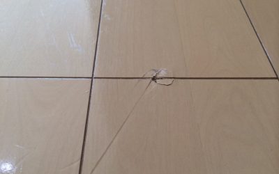 フローリング キズリペア補修　No.BA150713