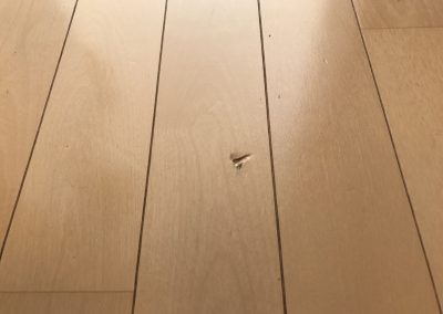フローリング床キズリペア補修　No.BA190206