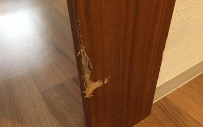 室内木枠剥がれキズリペア補修　No.BA170308