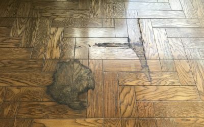 フローリング床 腐食経年劣化 シミ剥がれリペア再生　No.BA190924