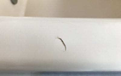 浴槽天縁のヘコミキズ リペア補修　No.BA200309