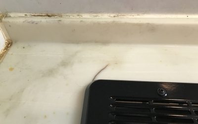 キッチンカウンター（人工大理石製）クラックひび割れリペア補修　No.BA200528