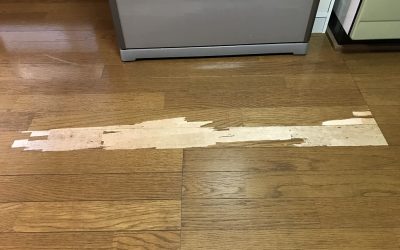 フローリング劣化・表面はがれリペア補修　　No.BA200808