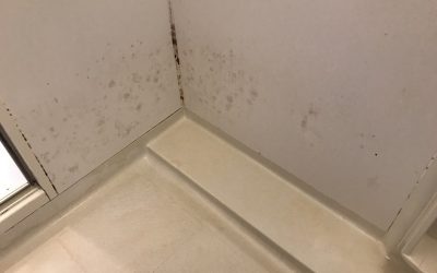 ユニットバス壁パネル着色塗装再生 No.BA200821