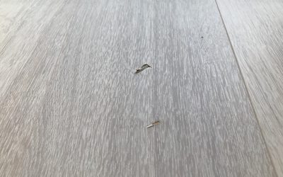 フローリング 落としキズ リペア補修 No.BA201225