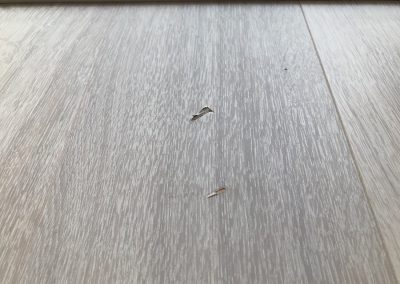 フローリング 落としキズ リペア補修　No.BA201225