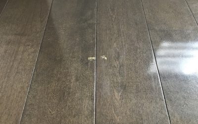 フローリングキズ リペア補修 No.BA210210