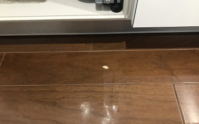 フローリング キズ リペア補修 No.BA210309