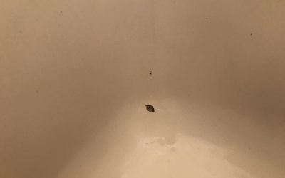 FRP浴槽 欠け・キズ破損部 リペア補修 No.BA210311