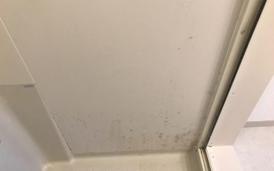 ユニットバス壁パネル着色ぼかし塗装再生　No.BA200822