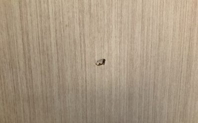 クロゼット扉（折戸ドア）へこみキズ リペア補修　No.BA201108