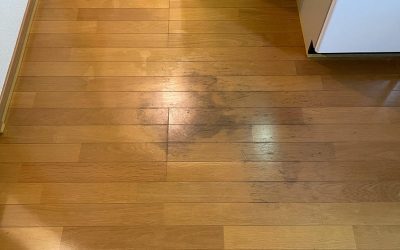 フローリング表面劣化・シミ 着色塗装リペア補修　BA210821