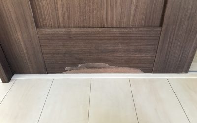 室内ドア 表面剥がれ・削れ リペア補修 BA210911