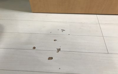 フローリング　キズ・剥がれ　リペア補修　BA211112