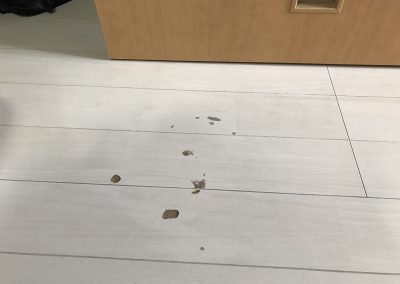 フローリング　キズ・剥がれ　リペア補修　BA211112