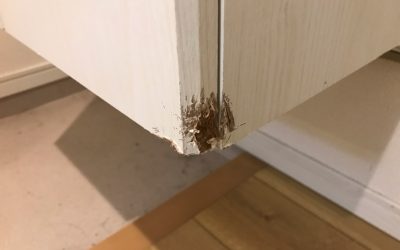 玄関下足箱扉　破損部キズ　リペア補修　BA220411