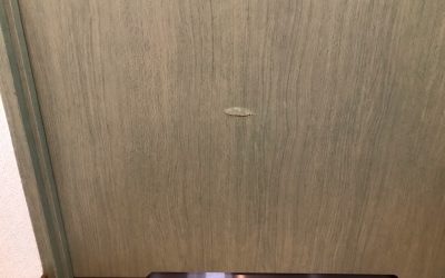 木製建具(室内ドア)ヘコミキズ リペア補修 BA220520