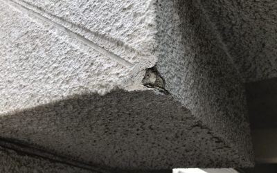 駐車場外壁 欠け破損 リペア補修 BA220617