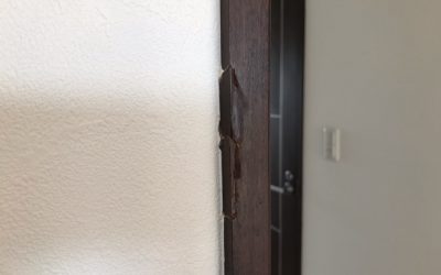 室内ドア木枠 破損キズ リペア補修 BA221008