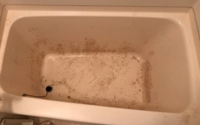 FRP浴槽カビ・シミ リペア再生コーティング BA221205