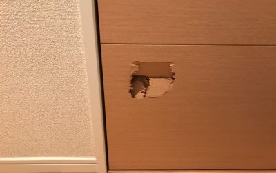 木製建具（室内ドア）へこみ陥没キズ　リペア補修　BA221219