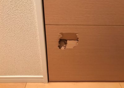 木製建具（室内ドア）へこみ陥没キズ　リペア補修　BA221219