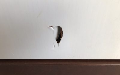 室内ドア（引戸）ヘコミ・穴キズ　リペア補修　BA230128