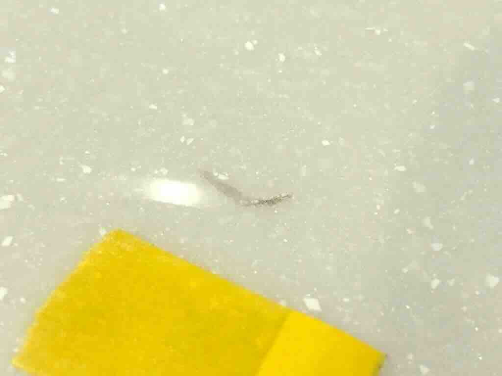 IMG_1043 傷の状態がわかるように