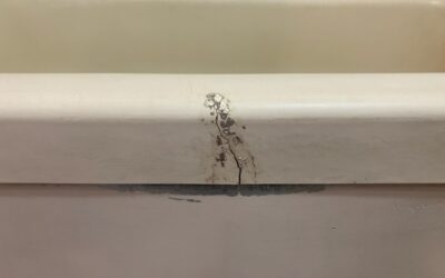 FRP浴槽　フランジひび割れ破損部　リペア補修・再生　BA240826