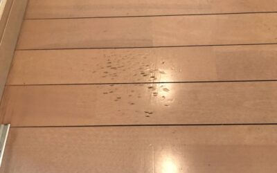 フローリング　ヘコミ・落としキズ　リペア補修　BA230204