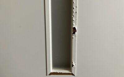 建具・木製ドア 扉表面 ペットかじり跡/キズ欠損/破損部 樹脂加工・部分再生・リペア補修 BA251128