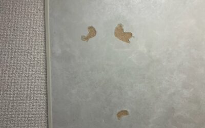 キッチン鏡面パネル　表面面材剥がれ　樹脂/鏡面加工・部分再生・リペア補修　BA250313