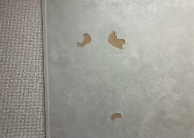 キッチン鏡面パネル　表面面材剥がれ　樹脂/鏡面加工・部分再生・リペア補修　BA250313