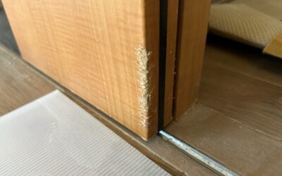 建具・木製ドア 扉表面 ペットかじり跡/キズ欠損/破損部 樹脂加工・部分再生・リペア補修 BA260113
