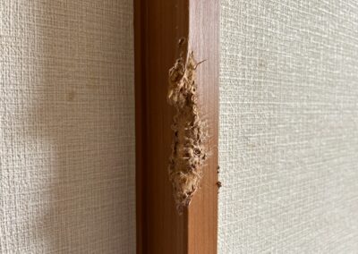 【福岡市博多区】賃貸アパート退去時の原状回復｜ドア木枠のペットかじり損傷を独自技術で部分再生　BA260216